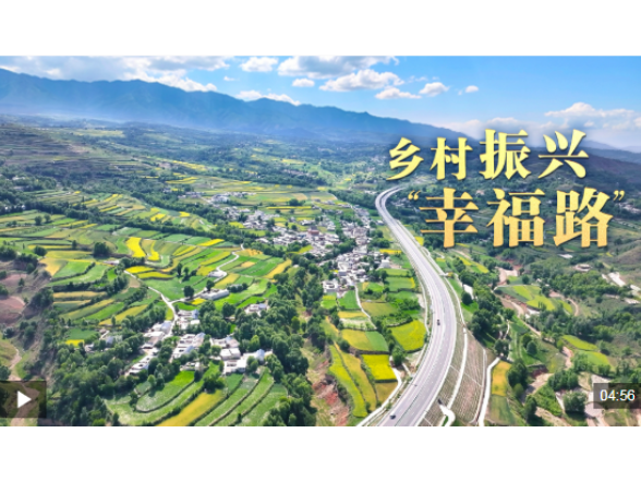 总书记的关心事丨乡村振兴“幸福路”