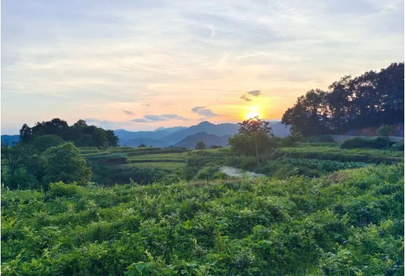 好评中国丨以持久之功塑“核”筑“高”