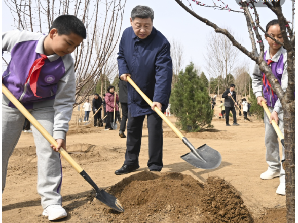 此行间·植树造林，总书记强调要“利民”
