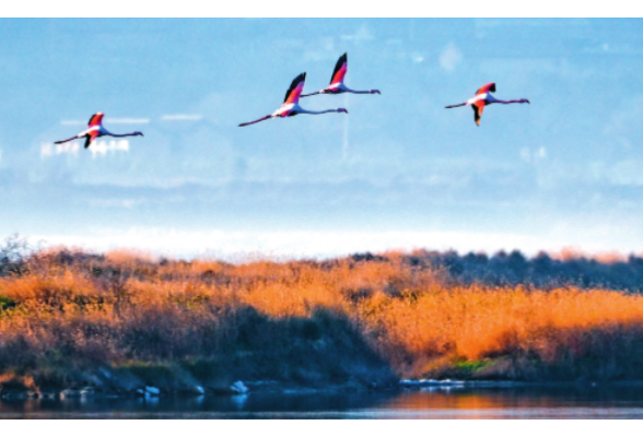好评中国丨一字之变，美丽中国从此有“典”可依