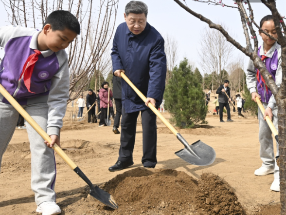 镜观·领航｜从植绿护绿，领悟总书记的政绩观