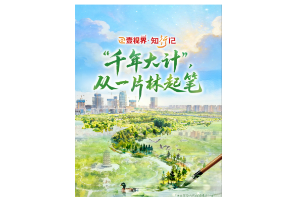 壹视界·知行记｜“千年大计”，从一片林起笔