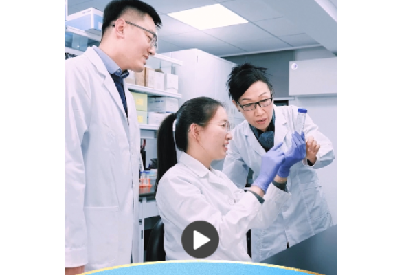 一习话丨“培养更多适应高质量发展、高水平自立自强的各类人才”