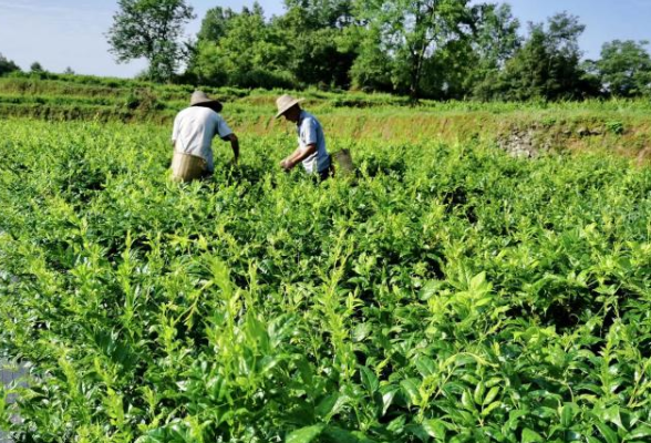 好评中国丨运动达标“落位”，铸就青少年健康底色