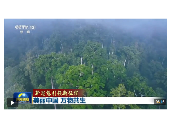 新思想引领新征程丨美丽中国 万物共生