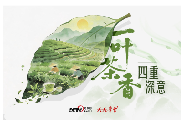 天天学习｜一叶茶香 四重深意