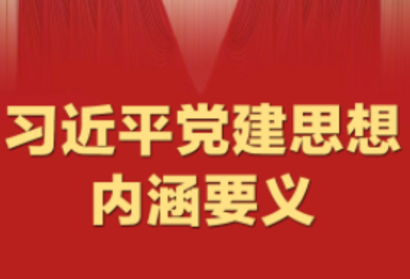 拾光纪·习近平党建思想内涵要义