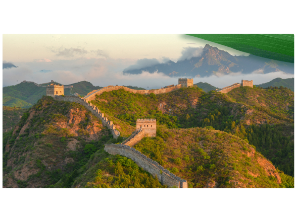 看图学习丨端午时节 重温总书记吟诵过的屈原名句