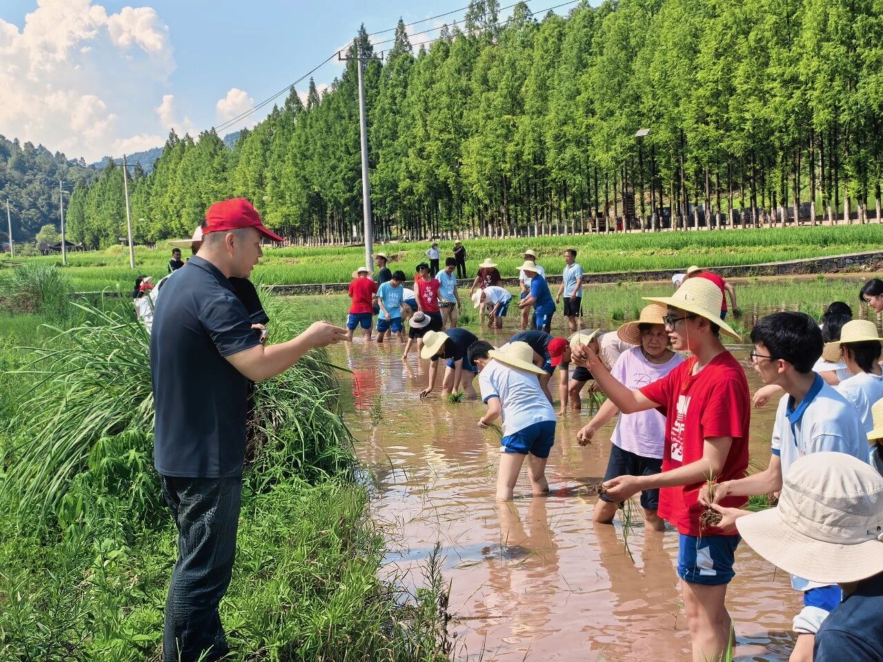 微信图片_2026-07-16_171214_897.jpg 微信图片_2026-07-16_171214_897.jpg