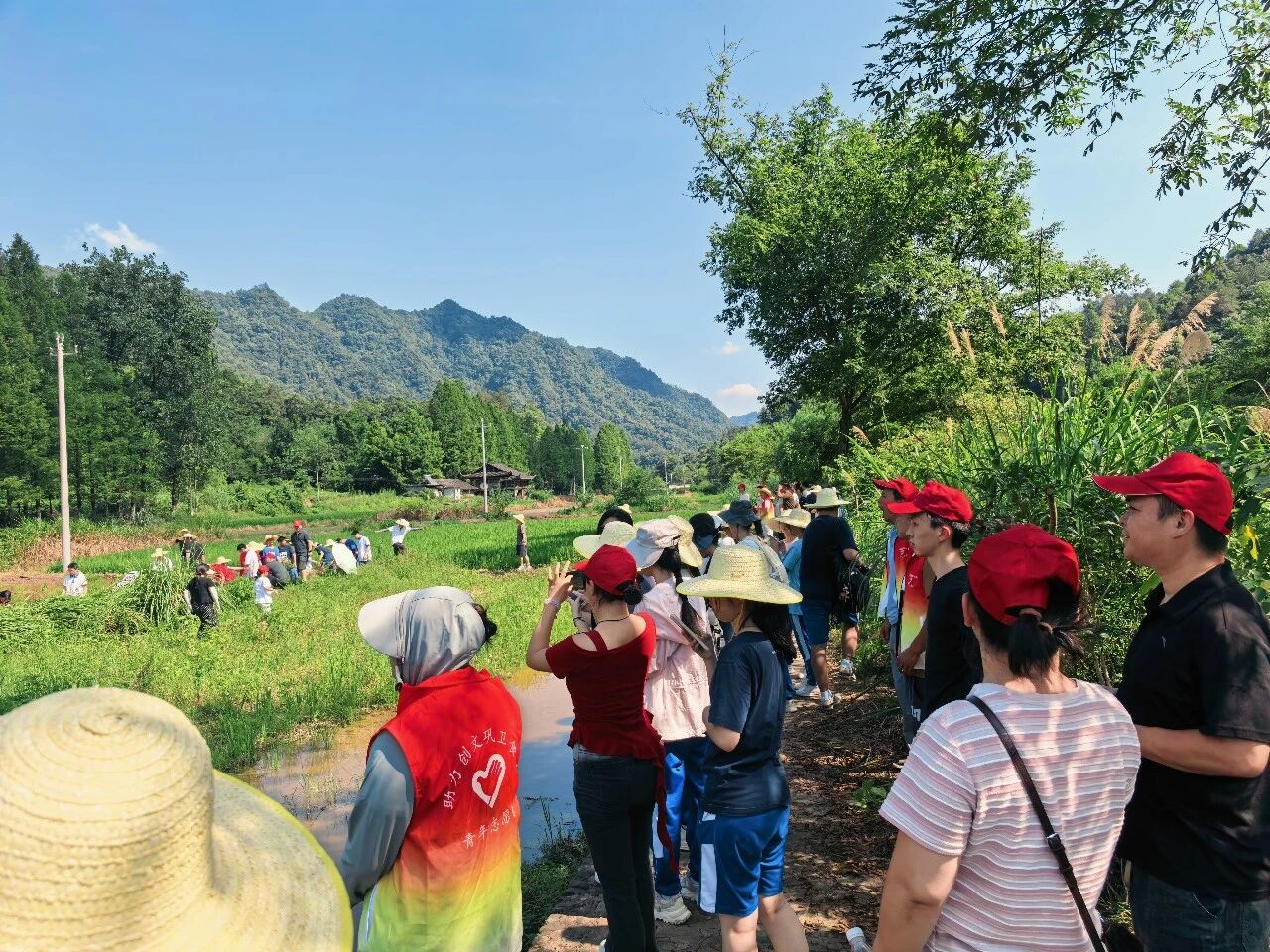 微信图片_2026-07-16_171206_090.jpg 微信图片_2026-07-16_171206_090.jpg