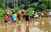 王家坪镇马头溪村：党群同心助农耕 非遗传承润青春