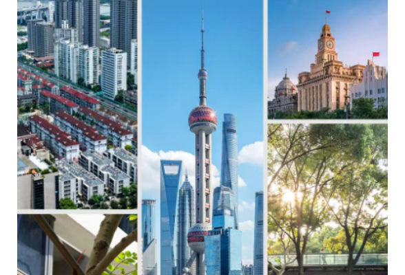 时政新闻眼丨习近平再赴上海考察，这份牵挂始终放在心上
