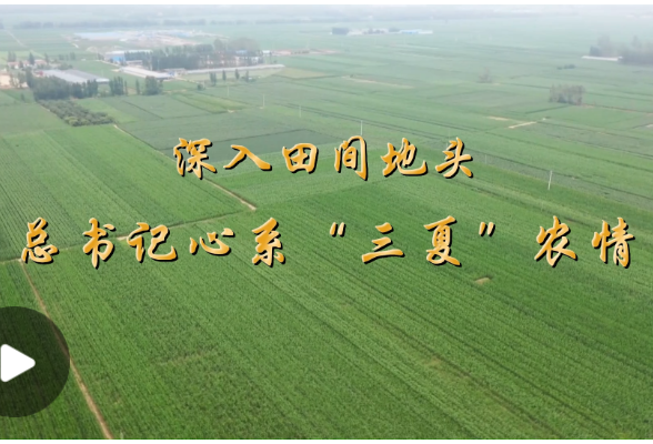 学习·知行丨深入田间地头 总书记心系“三夏”农情