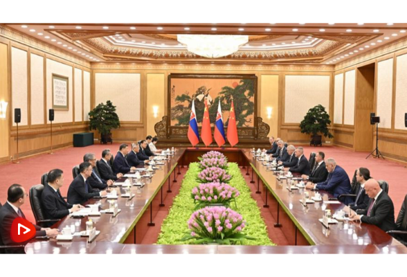 习近平同斯洛伐克总统佩列格里尼会谈