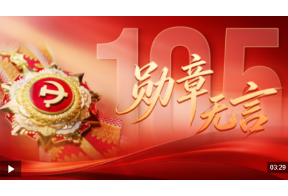 大党丨勋章无言