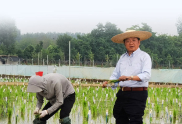 习近平总书记同科技工作者的故事