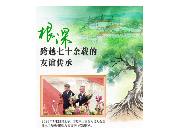 天天学习｜中斯友谊之树根深叶茂