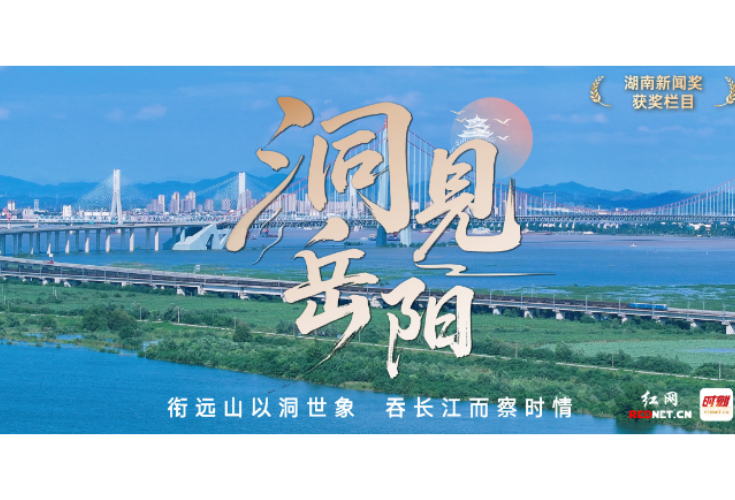 洞见岳阳丨告别“双城竞争叙事”，读懂区域协调发展新逻辑