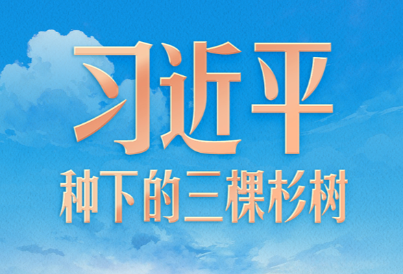 习言道｜习近平种下的三棵杉树