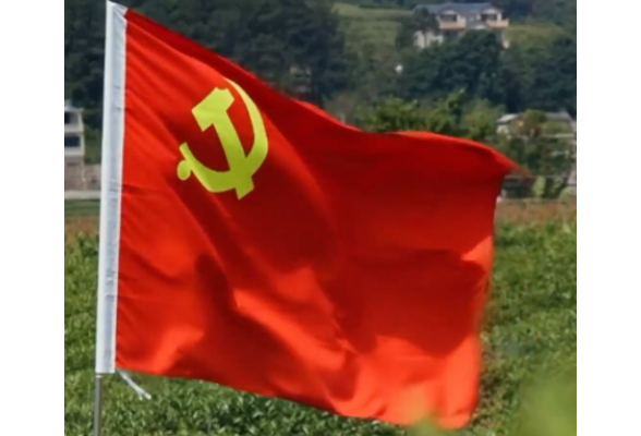 “发挥好支部的战斗堡垒作用”