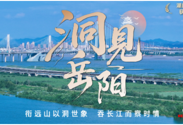 洞见岳阳丨打通“两业融合”通道，筑牢实业产才根基