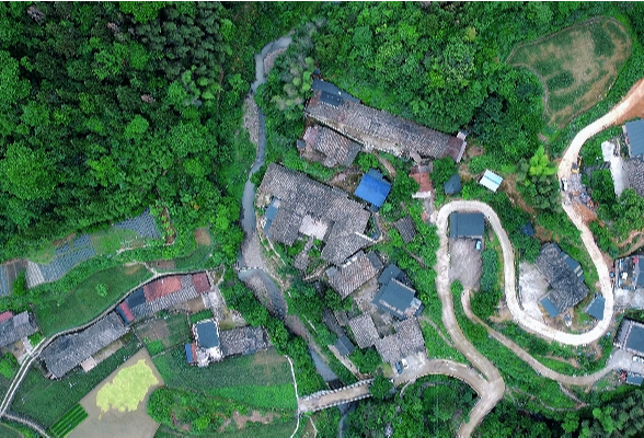 好评中国 | 以多样性培育创造力，因地制宜发展新质生产力