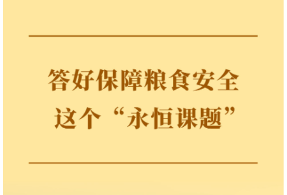 学习手记｜答好保障粮食安全这个“永恒课题”