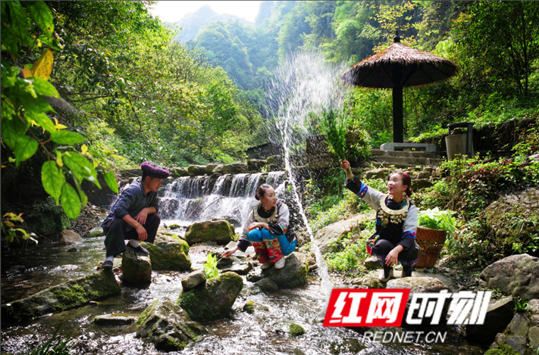 微信图片_20190507100436.jpg