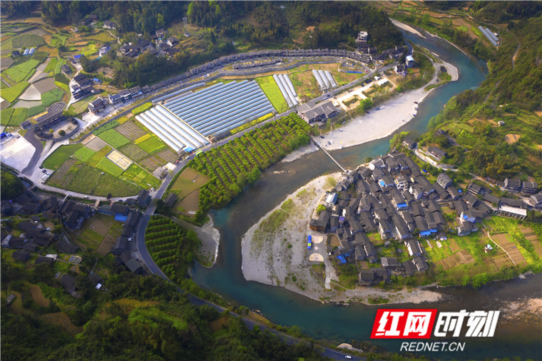 49.17米晋军  《俯瞰新农村》2020.3.26摄于联团村15074395588.jpg