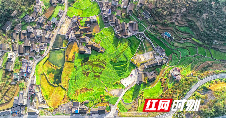 27.11郑梦丽《俯瞰排兄村》2020.03.10摄于排兄村13907432213.jpg