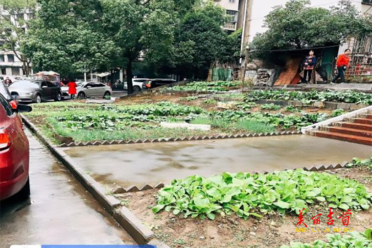 峒河街道：“小切口”沁润“大民生” 老旧小区焕新颜2.2.png