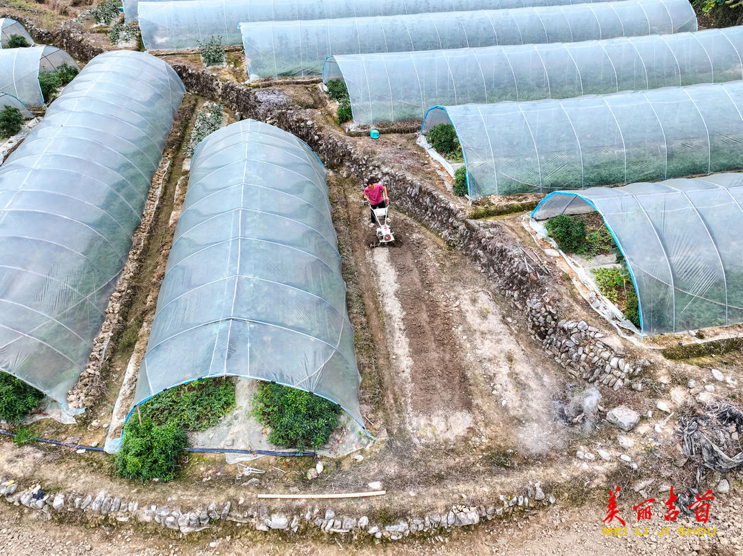 吉首市乾州街道西门口村，村民在田间劳作。