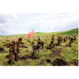 奋进新征程 建功新时代·伟大变革丨大兴安岭林区：不砍一棵树，照样能致富