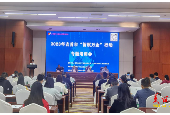 吉首市举办2023年“智赋万企”行动专题培训会