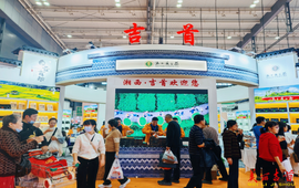 吉首市组团亮相中部农博会 湘西黄金茶香引客来