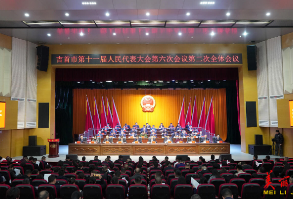市十一届人大六次会议举行第二次全体会议