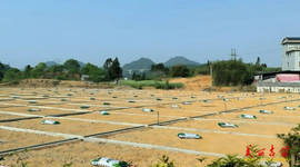 吉首：方寸之间 绘就温暖城市画卷