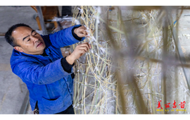 马年“春”意浓！吉首非遗传承人“扎春” 迎接乾州春会