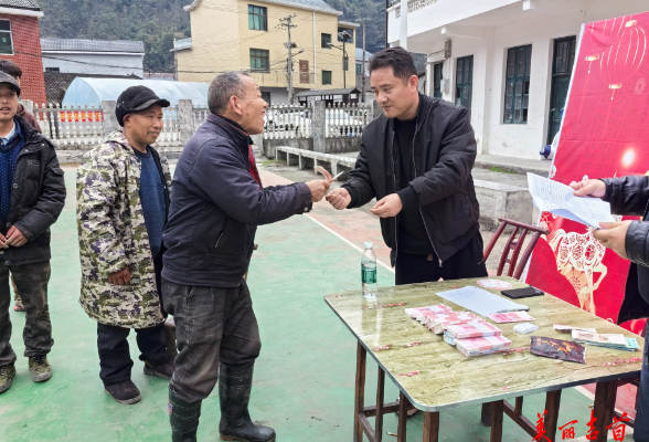 吉首市关侯村：羊肚菌基地发“新年薪” 村民喜领务工钱