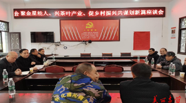 吉首市太平镇：乡贤聚智强产业 实干笃行促振兴