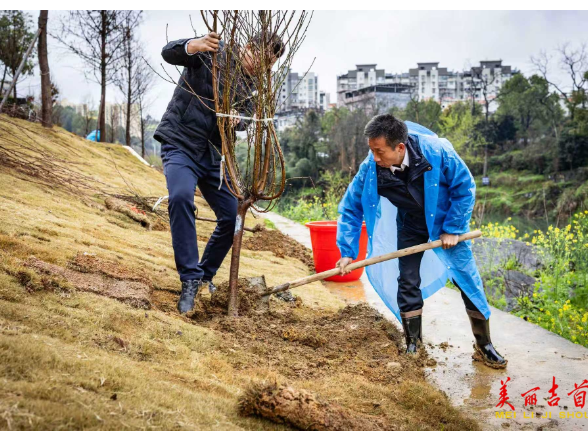 吉首市举行2026年全民义务植树活动