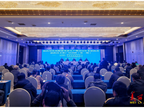 湘西州举办水稻机育插秧技术培训 为春耕生产按下“快进键”