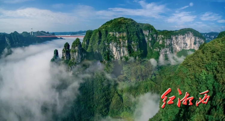 开好局起好步｜周立志：坚持“四向发力” 打造宜居宜业宜游温暖善美州府