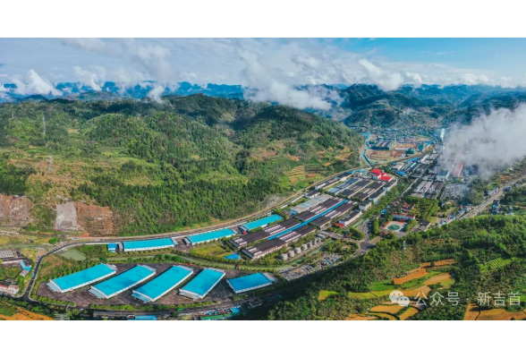 吉首馥郁香入选“国字号”培育名单