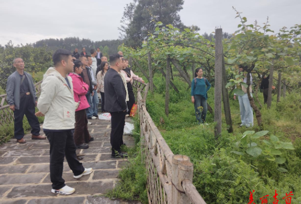 吉首：取经谋发展 聚力促振兴