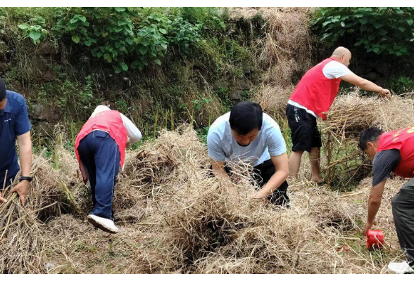 峒河街道望江坳村：干群齐心清秸秆 疏堵结合护蓝天