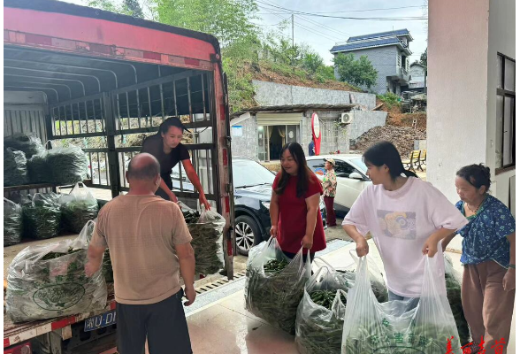 吉首这个村党群服务中心变身“辣椒驿站” 助农增收
