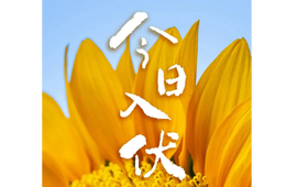 今日入伏（共40天）