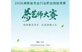 全省茶艺大咖集结吉首！好戏一触即发