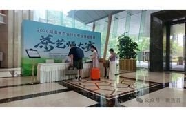 茶艺高手同台！这三天，湖南 